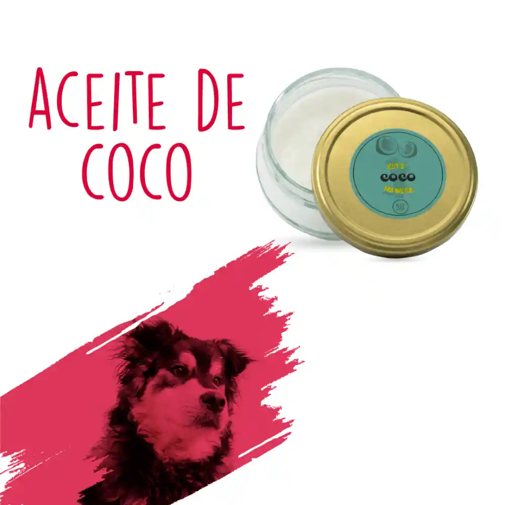 Aceite De Coco Pixie