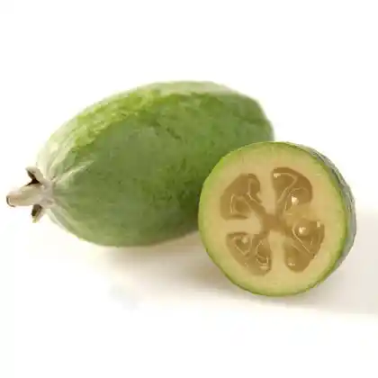 Feijoa