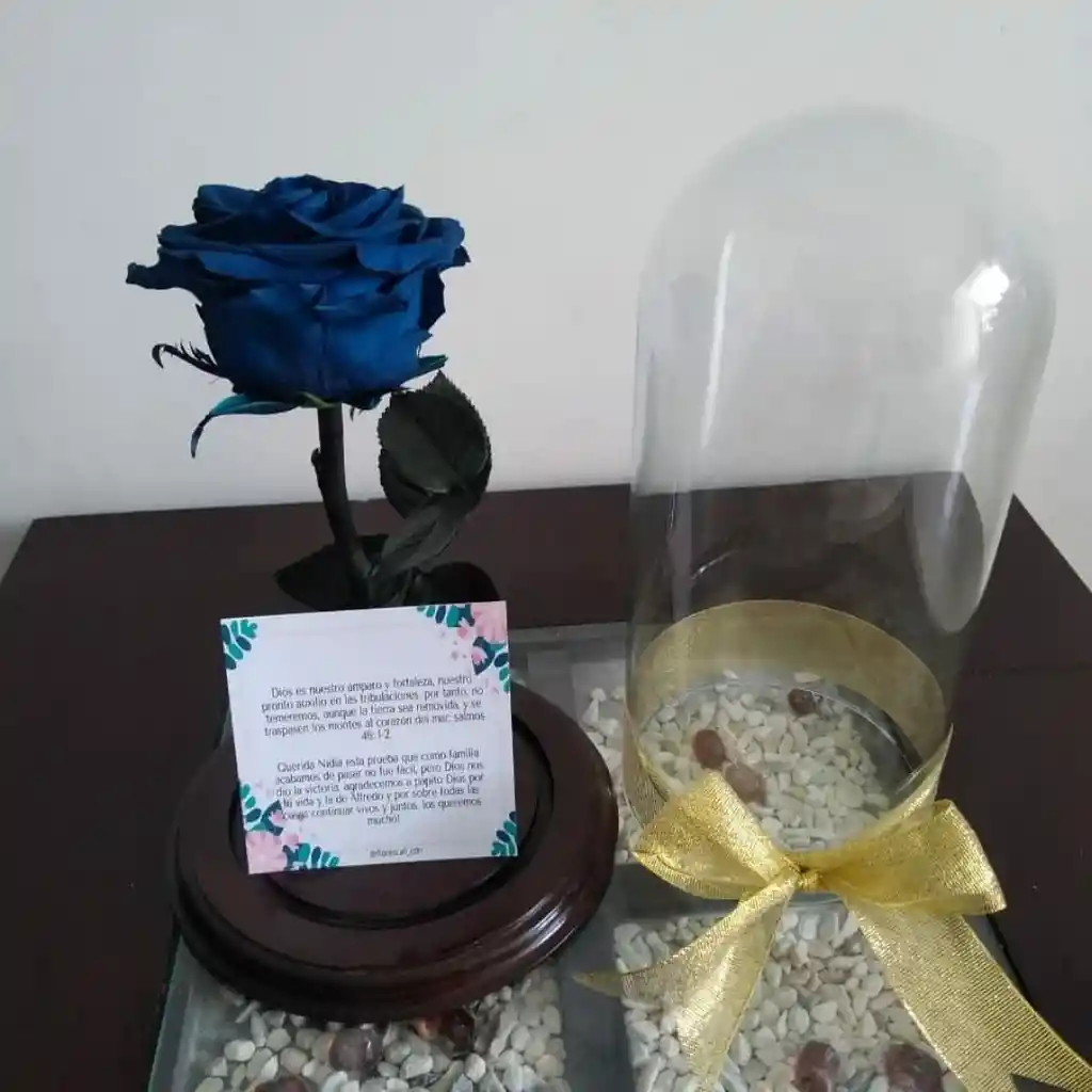 Rosa Eterna Azul