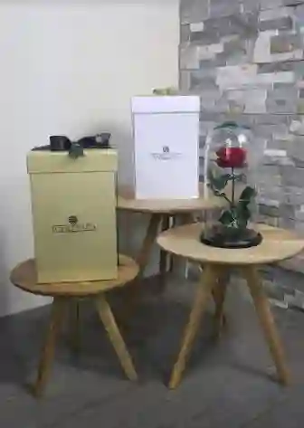 Rosa Preservada En Urna De Vidrio