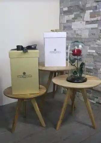 Rosa Preservada En Urna De Vidrio