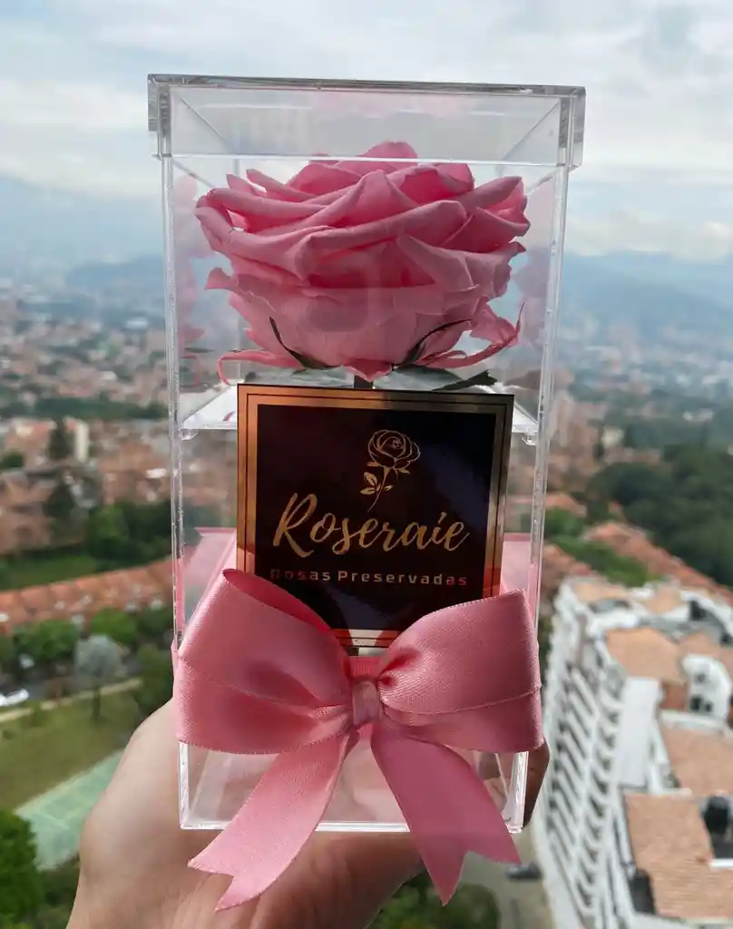 Acrílico Solitario Rosa Preservada Rosada