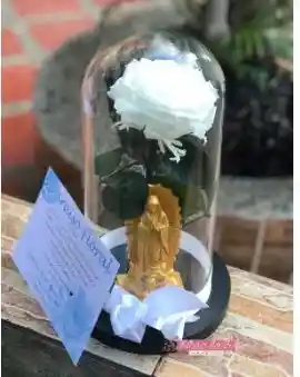 Rosa Preservada Con Virgen.