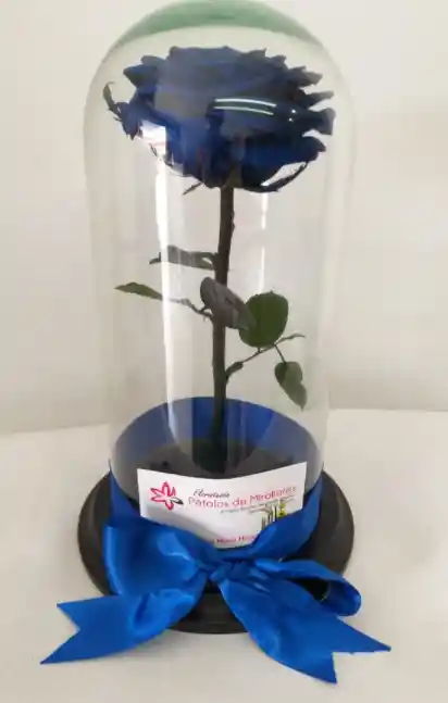 Rosas Inmortalizada Azul