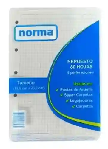 Hojas De Repuesto 95 Cuadriculadas 16x23cm Marca Norma X80 Hojas