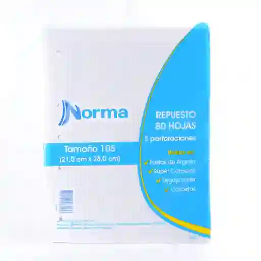 Hojas De Repuesto 105 Cuadriculadas 21x28cm Marca Norma X80 Hojas