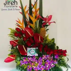 Floristeria Arreglo Violet -Jireh