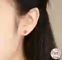 Aretes Para Mujer Conejo Zanahoria Fabricados En Plata 925