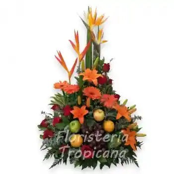 T36 – Diseño Frutero