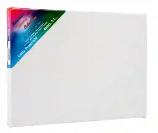 Lienzo Profesional Bastidor Para Pintar 35x50