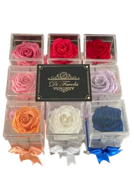 Solitario De Rosa Blanca Preservada En Caja Crítica. (1)
