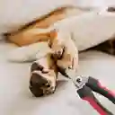 Cortauñas Con Lima Mascotas Perros Gatos