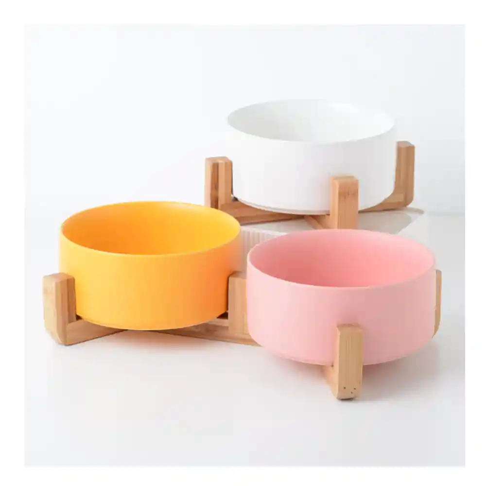 Taza Cerámica Multicolor Con Base De Madera Calabaza Pets