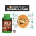 Ganoderma Extracto Mushroom Hongo Reishi 500 Mg 100 Caps