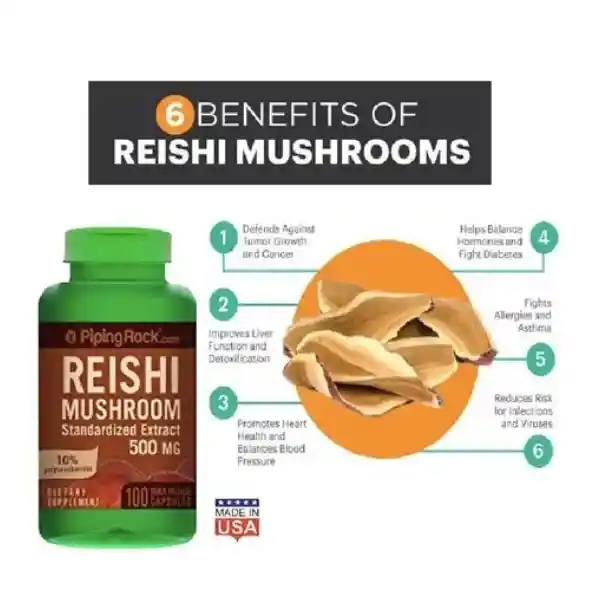 Ganoderma Extracto Mushroom Hongo Reishi 500 Mg 100 Caps