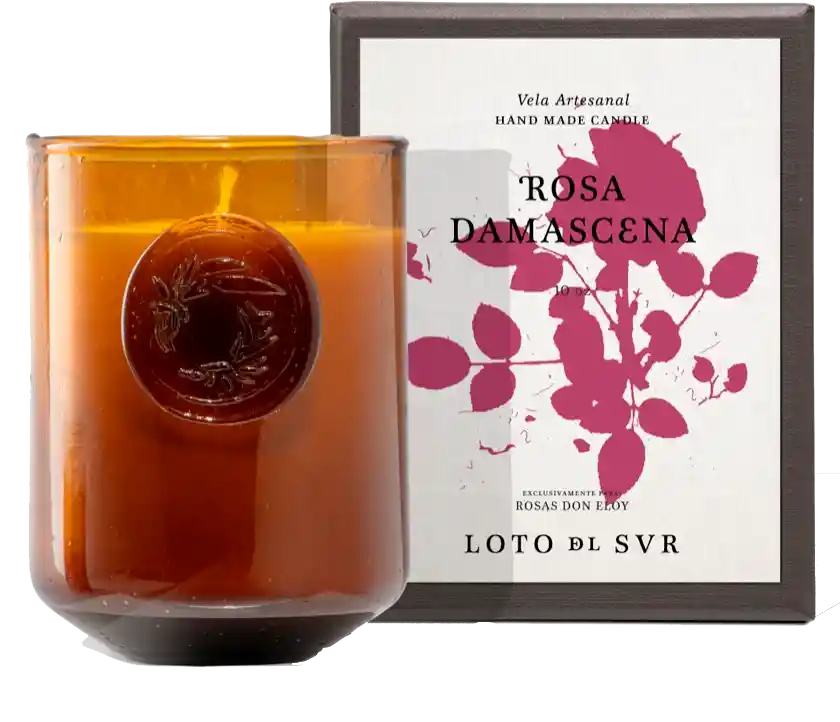 Rosas Surtidas X 12 En Caja Frambuesa + Vela Perfumada Don Eloy