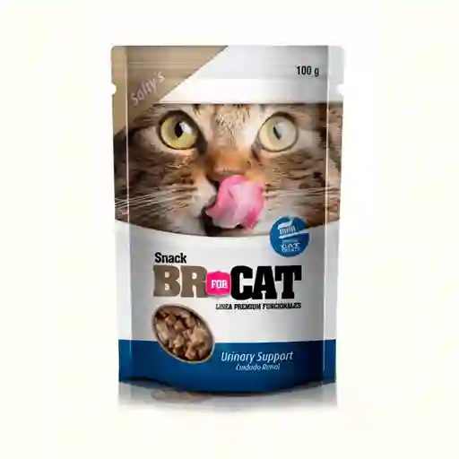 Br For Cat Snack Urinary Support