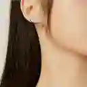 Aretes Hoja Planta Rama Para Mujer Fabricados En Plata 925