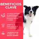 Hills Adulto Youthful Adulto 7 + X 3.5 Lbs