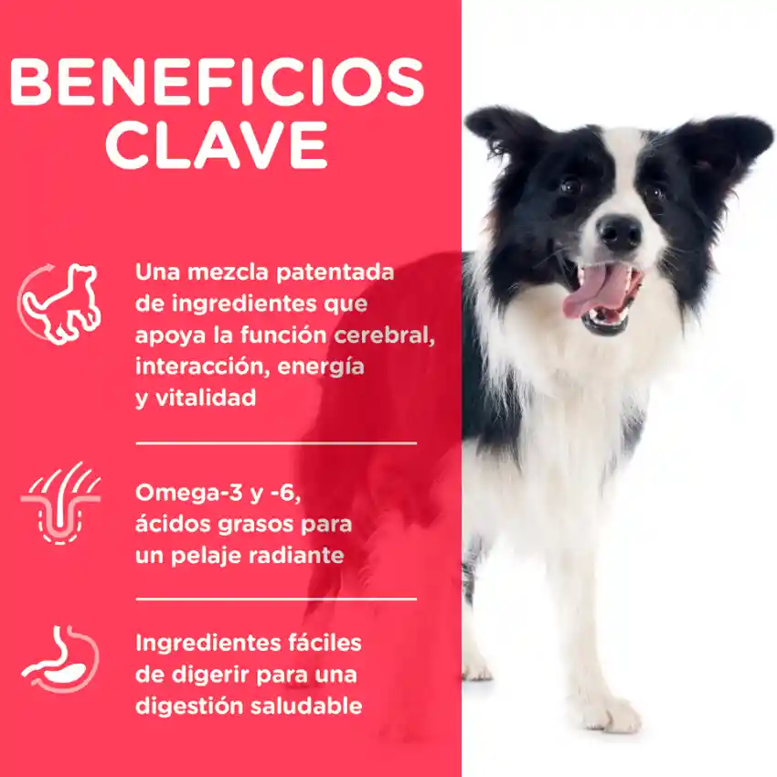 Hills Adulto Youthful Adulto 7 + X 3.5 Lbs