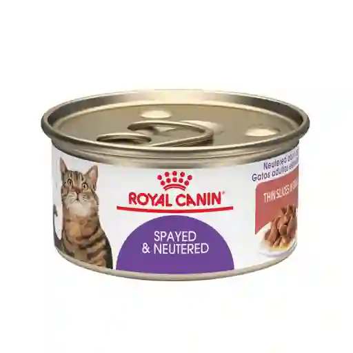 Royal Canin Alimento Húmedo para Gato Spayed y Neutered