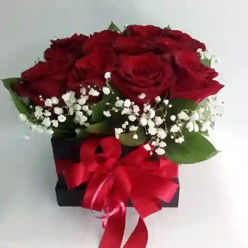 Mini Caía De Rosas