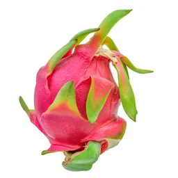 Pitaya Roja X Lb