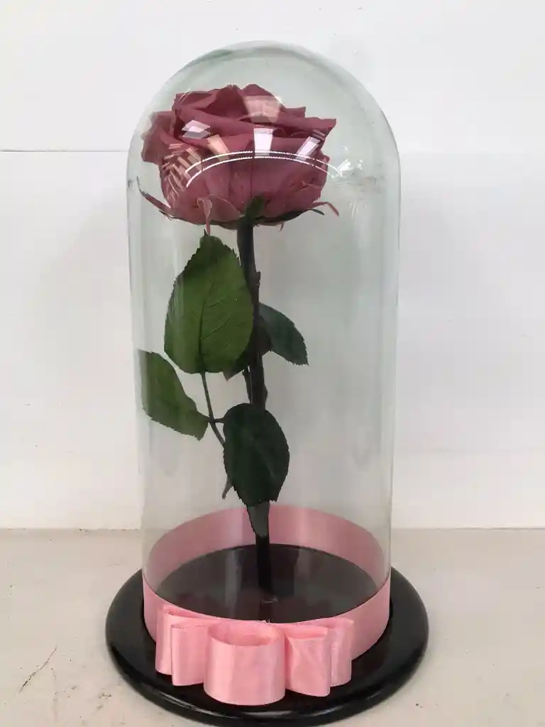 Rosa Preservada