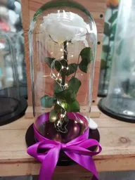 Rosa Preservada Con Luz