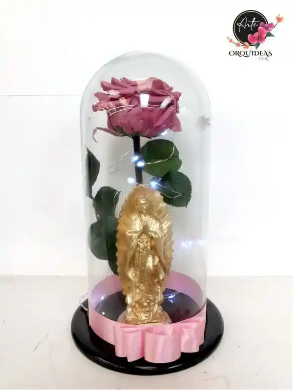 Rosa Preservada Con Luz Y Virgen.