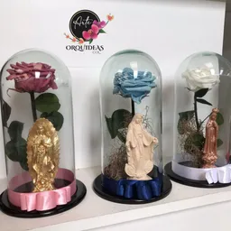 Rosa Preservada Con Luz Y Virgen.