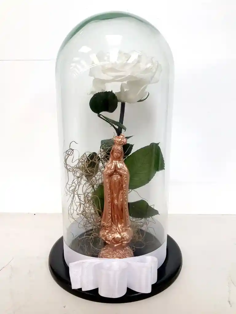 Rosa Preservada Con Luz Y Virgen.