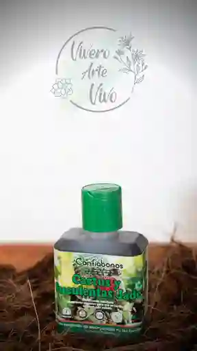 Fertilizante Cactus Y Suculentas X 120ml