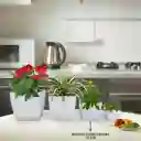 Matera Coubi Cuadrada 16 Cm Blanco