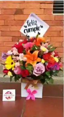 Arreglo Floral
