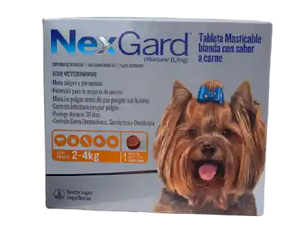 Nexgard Antipulgas Para Perros De 2 A 4 Kg