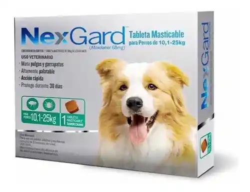 Nexgard Antipulgas Para Perros De 10.1 A 25 Kg