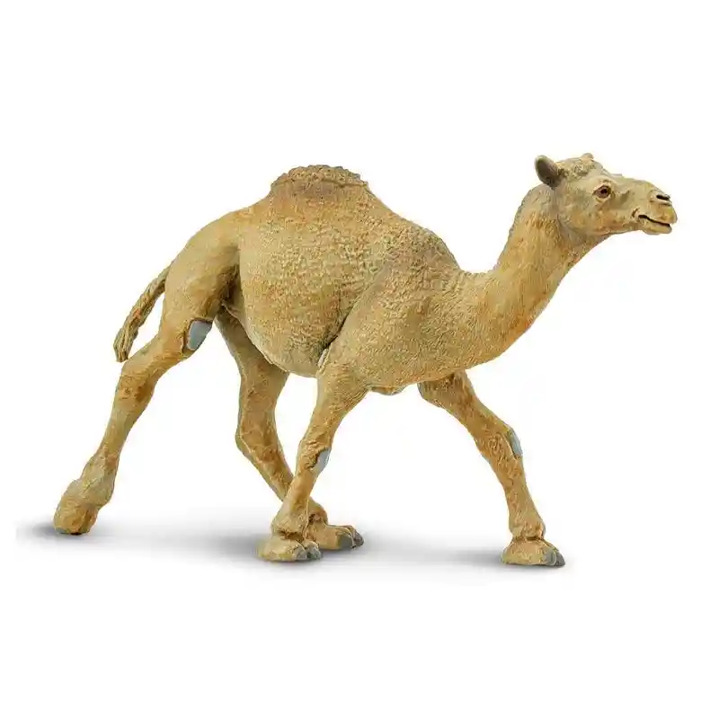 Safari Figura Coleccion Camello Dromedario Ltd