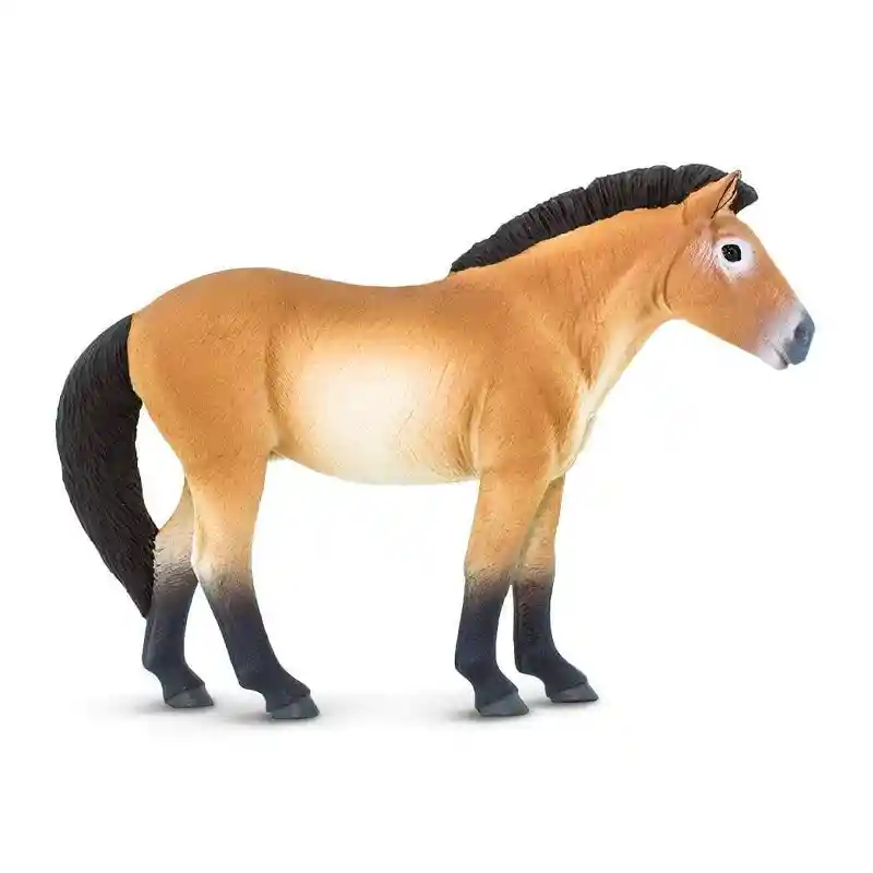 Safari Figura Coleccion Caballo De Przewalskis Ltd