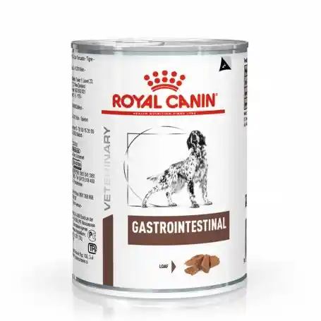 Royal Canin Lata Gastrointestinal 13.5oz
