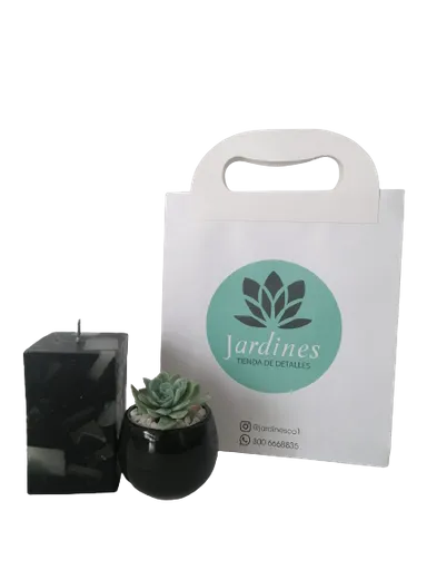 Regalo Planta Suculenta Y Vela Protección