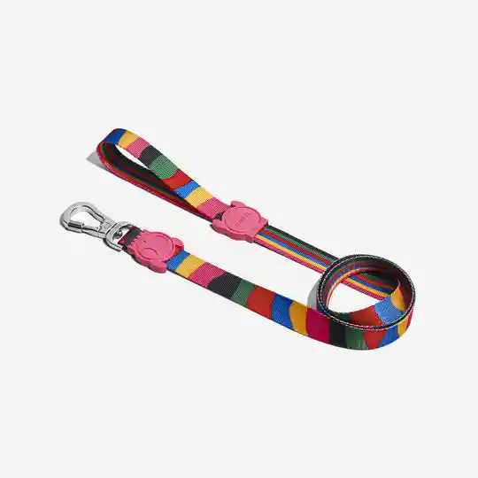 Chroma Leash-large