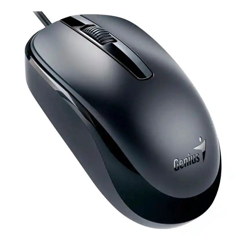 Mouse Genius Dx120 Usb Alámbrico Negro