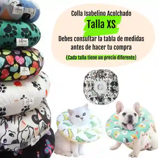 Collar Isabelino Acolchado Talla Xs - Hembra