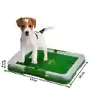 Tapete Entrenador Mascotas Lavable Baño