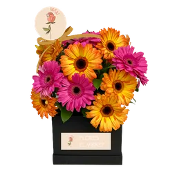 Gerberas Dulce Cariño