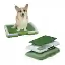 Tapete Entrenador Mascotas Lavable Baño