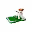 Tapete Entrenador Mascotas Lavable Baño