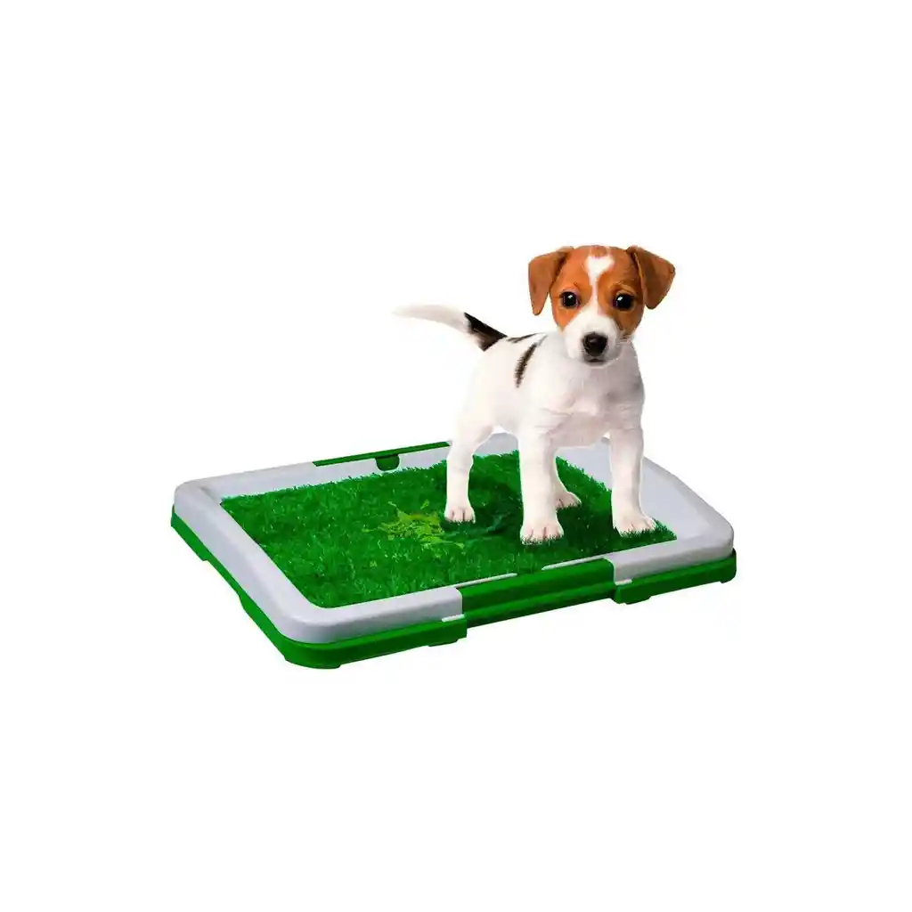 Tapete Entrenador Mascotas Lavable Baño