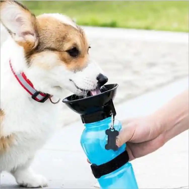 Bebedor Portatil Para Mascotas